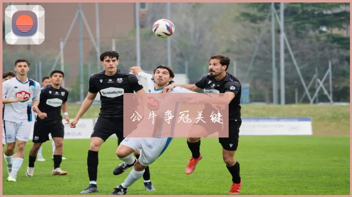 公牛争冠关键