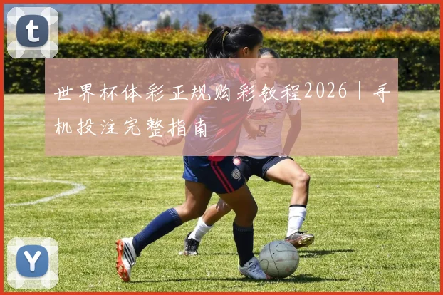 世界杯体彩正规购彩教程2026｜手机投注完整指南