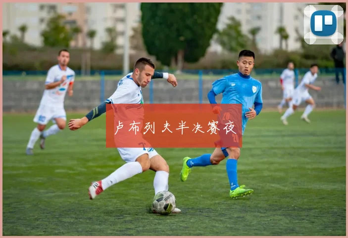 卢布列夫半决赛夜