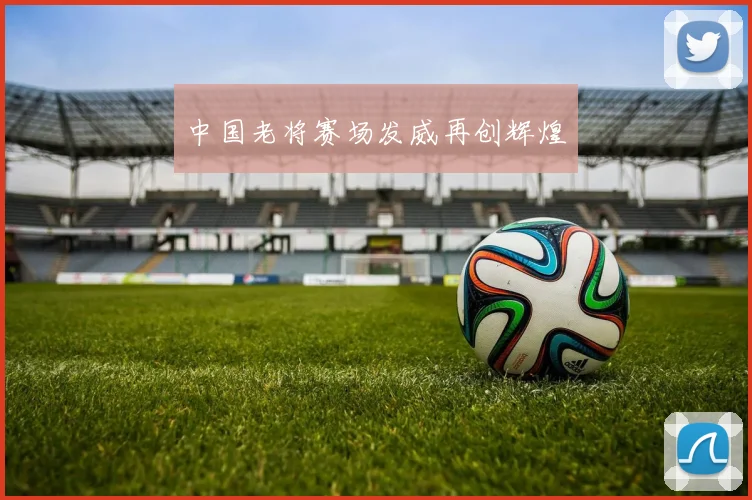 中国老将赛场发威再创辉煌